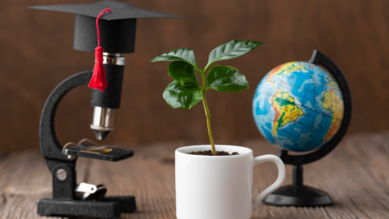 Top 10 Scholarships